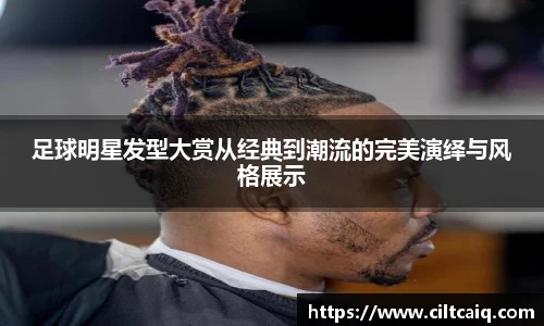 raybet雷竞技平台