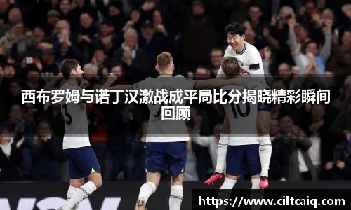 西布罗姆与诺丁汉激战成平局比分揭晓精彩瞬间回顾